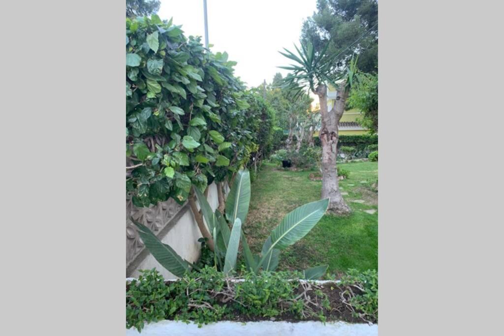Apartamento La Dorada Torremolinos Luaran gambar